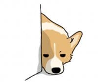 «QQcorgi» sticker set