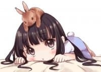 «Lolidrop» sticker set