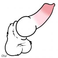 «Dickers» sticker set
