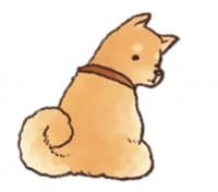 «Shiba» sticker set