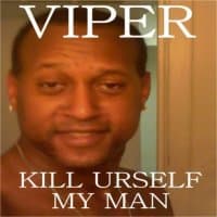 «viper» sticker set