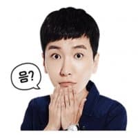 «superjunior» sticker set
