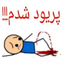 «shahin» sticker set
