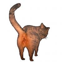 «cat» sticker set