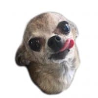 «doggos» sticker set