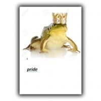 «pride» sticker set