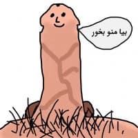 «mr.dick» sticker set