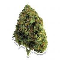 «drugs» sticker set