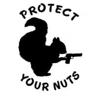 «Squirrels» sticker set