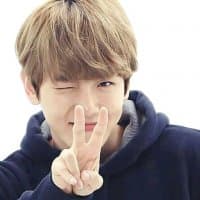 «BAEKHYUN» sticker set