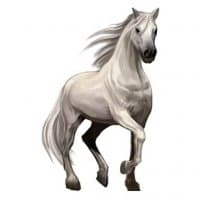 «Caballos» sticker set