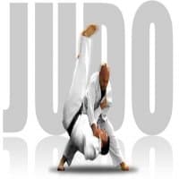 «judo» sticker set