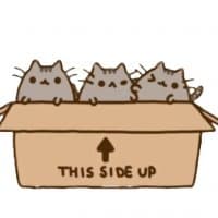 «pusheen» sticker set