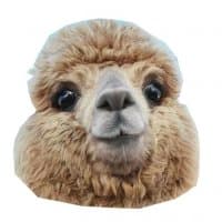 «alpaca» sticker set