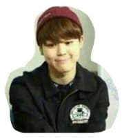 «BTS» sticker set