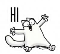 «Simon’s cat» sticker set