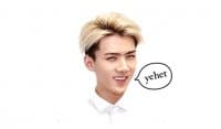 «EXO» sticker set