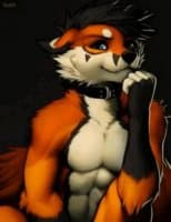 «fuchs» sticker set