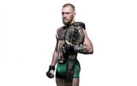 «UFC» sticker set