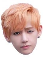 «Taehyung» sticker set