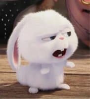 «Snowball» sticker set