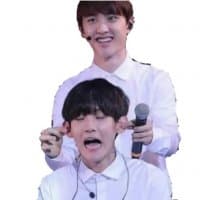 «exo» sticker set