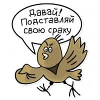 «Fortran» sticker set