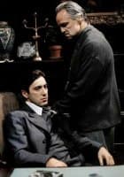 «Alpacino» sticker set