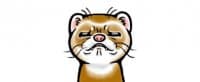 «EverydayFerret» sticker set