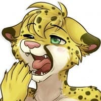 «Salmy» sticker set