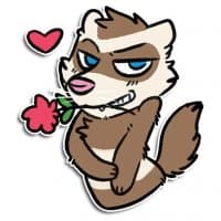 «Jarvi Ferret» sticker set