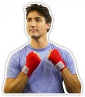 «Trudeau» sticker set