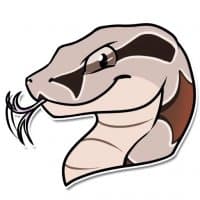 «Snakes» sticker set