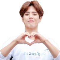 «@jonafzan Park Bo Gum» sticker set