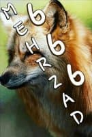 «Jackal#666» sticker set