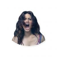 «Shameless» sticker set