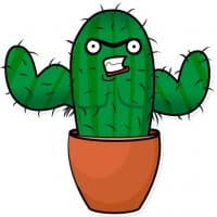 «Sarcactus» sticker set