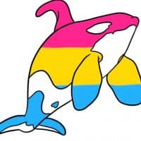 «Pansexuality» sticker set