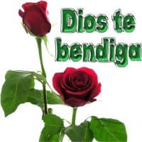 «Dios te bendiga» sticker set