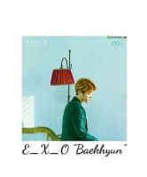 «Exo» sticker set