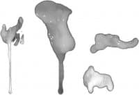 «cum» sticker set