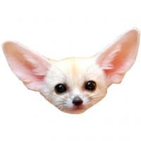 «Fennecs» sticker set