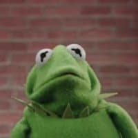 «Kermit the frog» sticker set