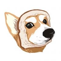 «corgi» sticker set