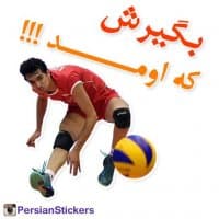 «Volleyball-2015» sticker set