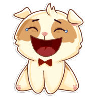 «Cavy» sticker set
