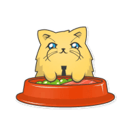 «Time Cat» sticker set