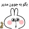 @stickersaz8 @talischifans https://instagram.com/hejaab_official
