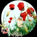 باز پنجشنبه و یاد شهدا